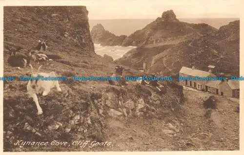 R146663 Kynance Cove. Cliff Goats. W. Davis. Frith