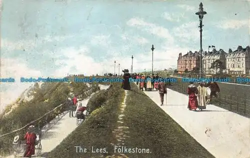 R145366 The Lees. Folkestone. 1911