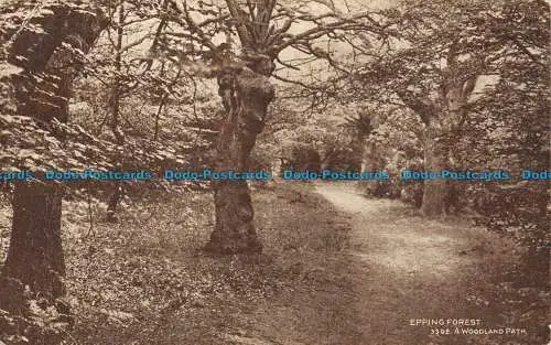 R145387 Epping Forest. Ein Waldweg. Lachs. 1929