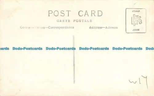 R146725 Alte Postkarte. Frau am Berg