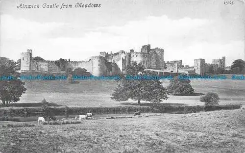 R146212 Schloss Alnwick von Wiesen. Valentinstag