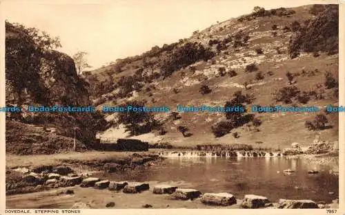 R145449 Dovedale. Trittsteine. Photochrom. Nr. 7957