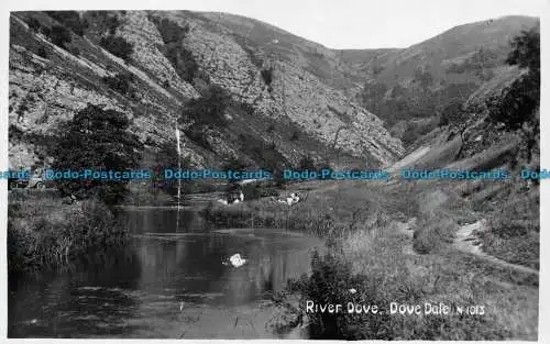 R145457 River Dale. Wo Dale. R. Sneath. RP