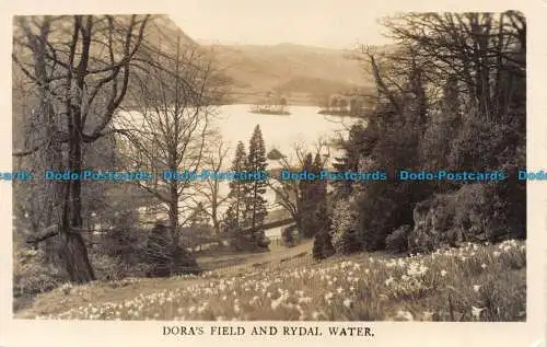 R148085 Doras Feld- und Rydalwasser