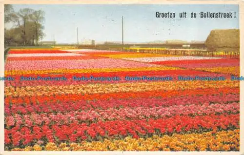 R147621 Groeten Uit von Bollenstreek