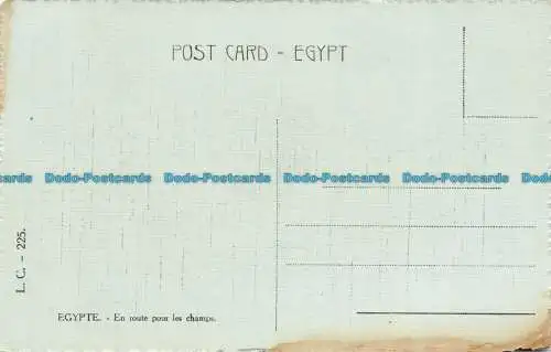 R148198 Ägypten. Auf dem Weg zu den Feldern. L.C