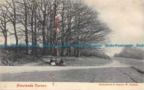 R147664 Newlands Corner. S. Sawyer. 1905