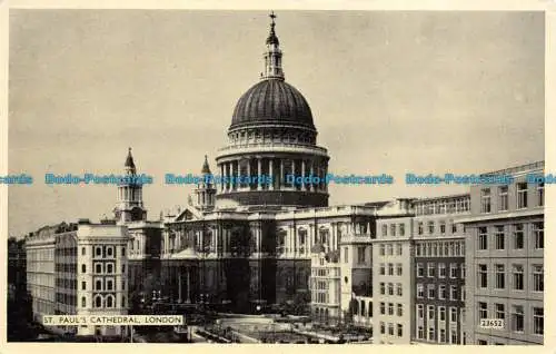 R148824 St. Pauls Kathedrale. London. Lachs