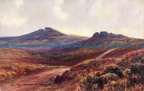 R148873 Hey Tor und Sattel. Dartmoor. Lachs