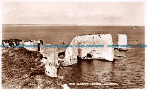 R148402 Old Harry Rocks. Dorset. Dearden und Wade. Sunny South. RP