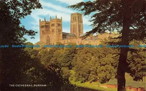 R149045 Die Kathedrale. Durham. Lachs