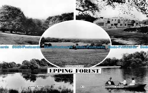 R149662 Epping Forest. Multi-View. RP