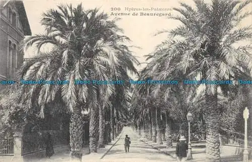 R149727 Hyeres les Palmiers. Avenue de Beauregard