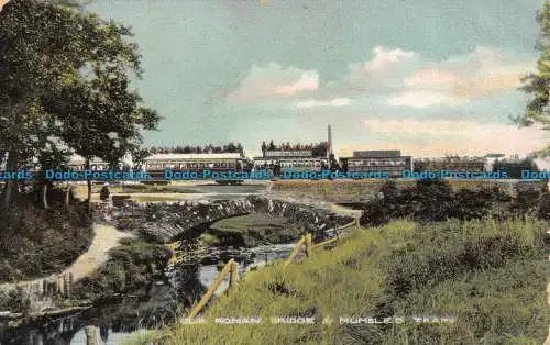 R149787 Alte römische Brücke und Murmelzug