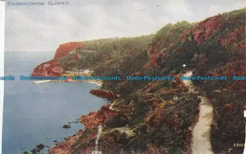 R149860 Babbacombe Hänge. Nr. 55107