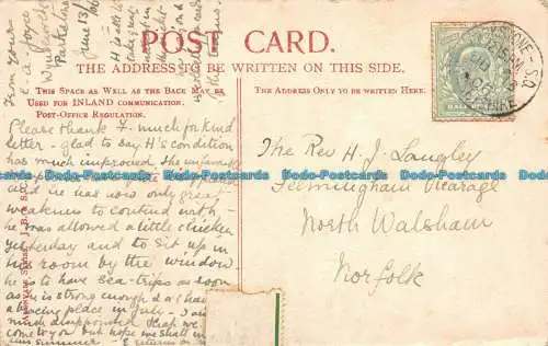 R151364 Der Wald. Portishead. J. B. und S.C. 1906