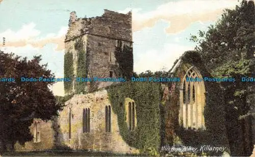 R151368 Mukross Abbey. Killarney. W. Lawrence