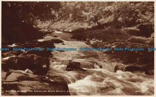 R151556 Bolton Woods. Die funkelnde Flusskai oberhalb des Strid. Walter Scott.