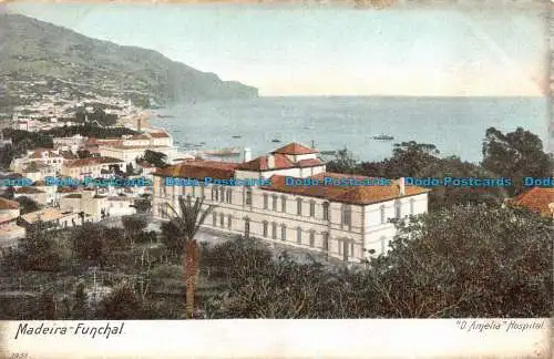 R151001 Madeira Funchal. D. Amelia Hospital