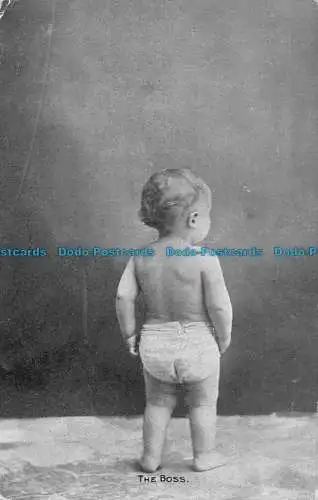 R152354 Der Boss. Baby. Zierlich. 1906