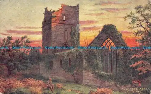 R151049 Muckross Abbey. Killarney. Tuck. Öle. 1909