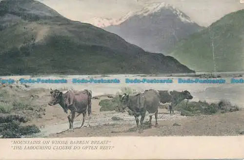 R151710 Berge, auf deren unfruchtbarer Brust. 1904