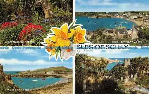 R151790 Inseln von Scilly. Multi-View. Lachs