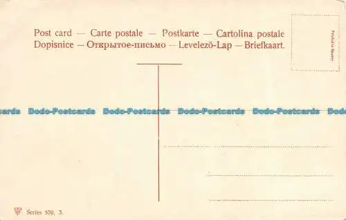 R151178 Alte Postkarte. Früchte auf dem Tisch