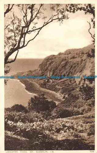 R151988 Luccombe China. Nr. Shanklin. I.W. Nigh