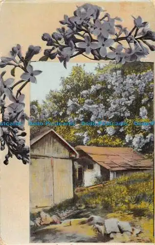 R152732 Alte Postkarte. Haus- und Blumenbäume. 1912