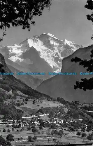 R152769 Wilderswil mit Jungfrau. H. Steinhauer. 1957