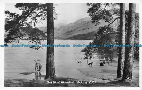 R154100 Lock Eck bei Whistlefield. Loch Eck Y.H.S.Y.H.A