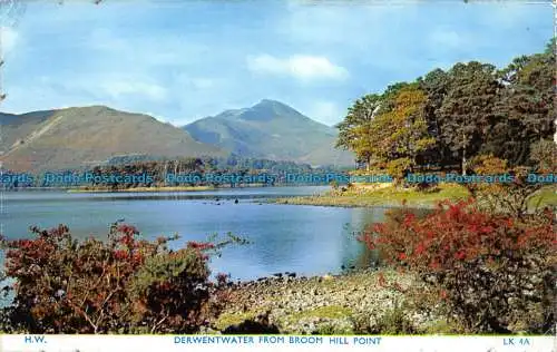 R153594 Derwentwater von Broom Hill Point. Webster. 1964