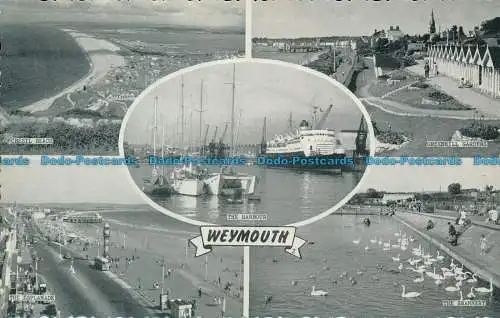 R154186 Weymouth. Multi-View. Lachs