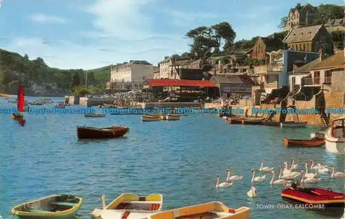 R153639 Town Quay. Salcombe. Lachs