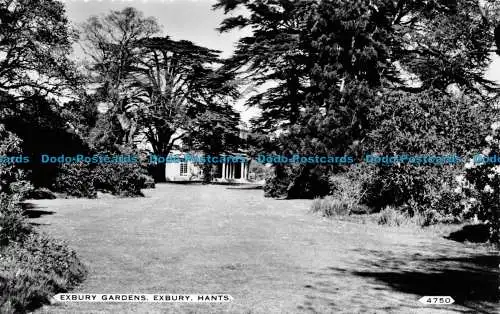 R154221 Exbury Gardens. Exbury Hants. Dearden und Wade. Sunny South. RP