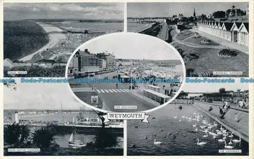 R154228 Weymouth. Multi-View. Lachs