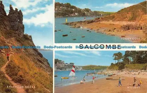 R153667 Salcombe. Multi-View. Lachs. 1974