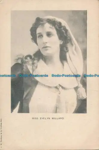 R154287 Miss Evelyn Millard. Faulkner