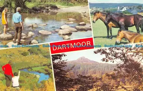 R153095 Dartmoor. Multi-View. Dennis