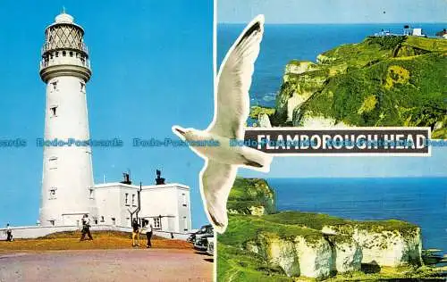 R153811 Flamborough. Kopf. Multi-View. Bamforth. Farbglanz