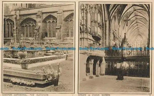 R154748 Chester Kathedrale. Die Kreuzgänge. Orgel- und Chorschirm. Photochrom. Nein