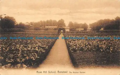 R155047 Rose Hill Schule. Banstead. Der Küchengarten. P.A. Buchanan. 1967