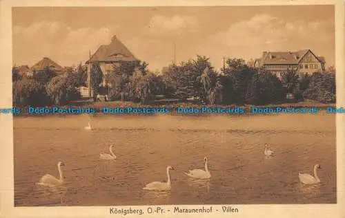 R155625 Königsberg. O.Pr. Maraunenhof villen. Stengel