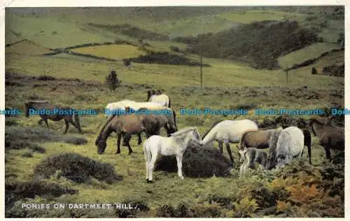 R157154 Ponys auf dem Dartmeet Hill. Kenneth E. Ruth