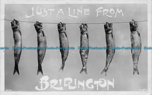 R157806 Nur eine Zeile von Brighton. Fische. Schnell. 1909