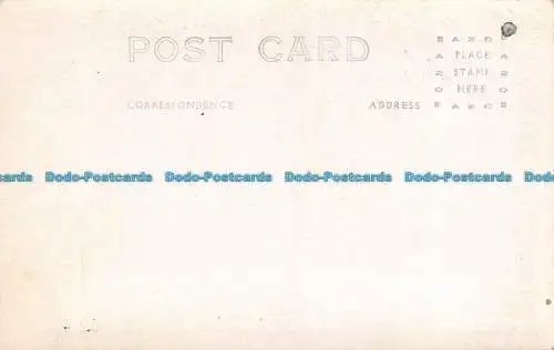 R158290 Alte Postkarte. See und Palmen