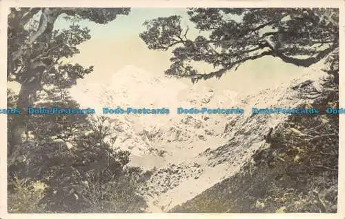 R158852 Alte Postkarte. Berge und Bäume