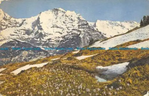 R157818 Jungfrau. Stehli. 1959