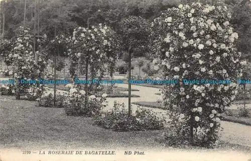 R158864 Der Rosengarten von Bagatelle. ND. Nr. 3199. 1919